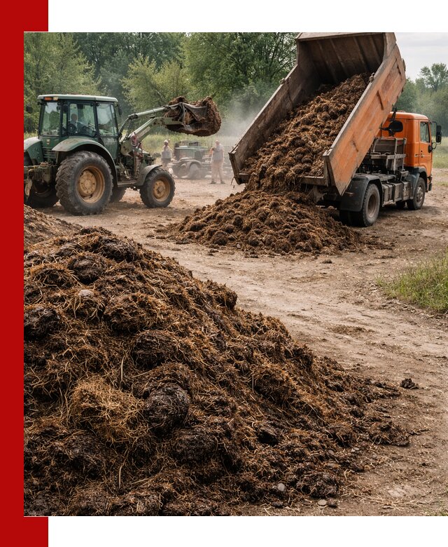 Доставка навоза самосвалами в Верхнем Уфалее для сельхозпотребностей